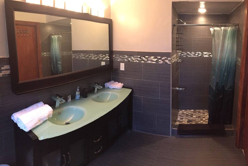 Vanity and shower.