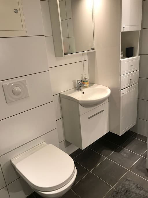 Toalett, vask. Håndklær kan lånes.