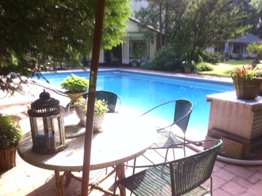 Privat swimming pool with a lovely view over the garden