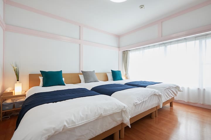 東京、秋叶原，上野，两国，晴空塔，浅草寺附近/4室2卫1厅/110平米/地铁走路3分/4