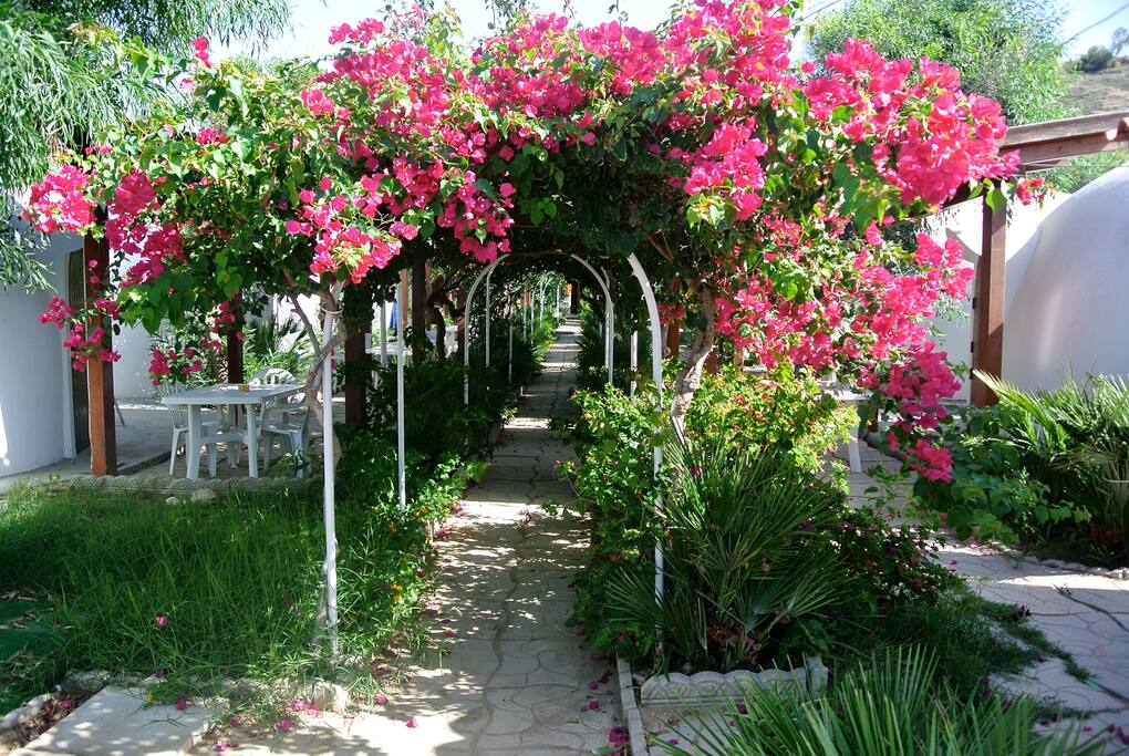 giardino
