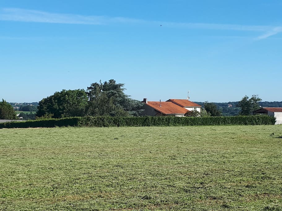 Vue de la terasse