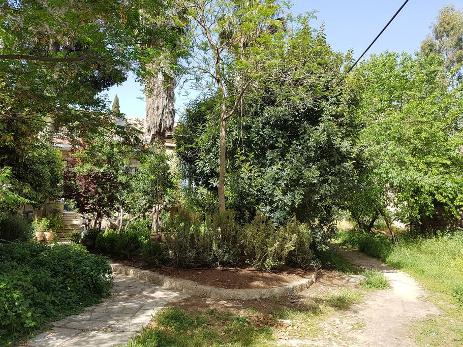 General view of private garden attached to the house