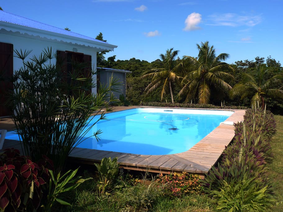 la piscine 8m par 4m