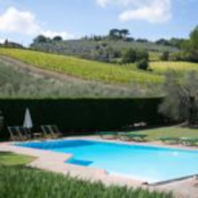 The Swimming Pool