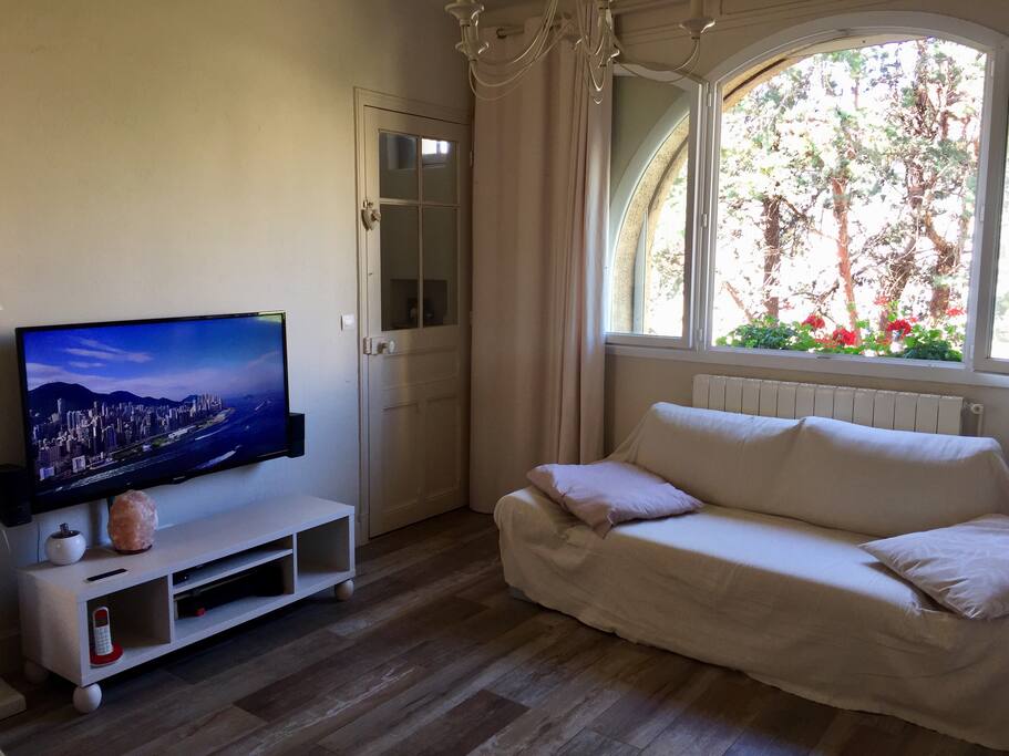 Salon