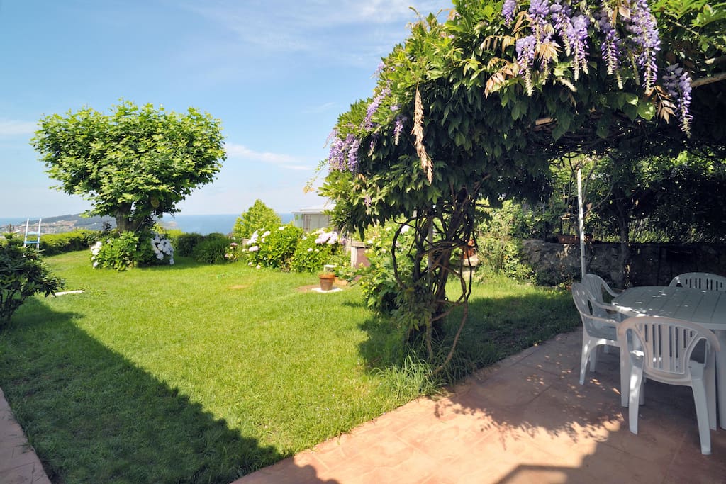 Jardin
