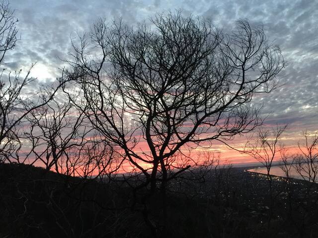 Barefoot Beach stays-Aquawaters 50m walk to Beach gallery image 5