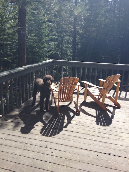 Adirondack chairs (dog not included)