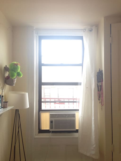 The window sees the Main Street