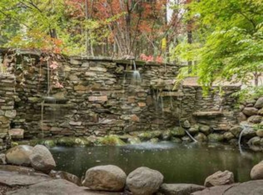 Pond on property