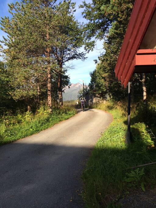 Driveway