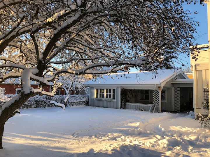 Top 10 Airbnb Vacation Rentals In Umeå, Sweden Updated 2024 Trip101