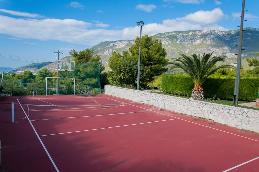 Tennis, soccer, basketball? This is your choise