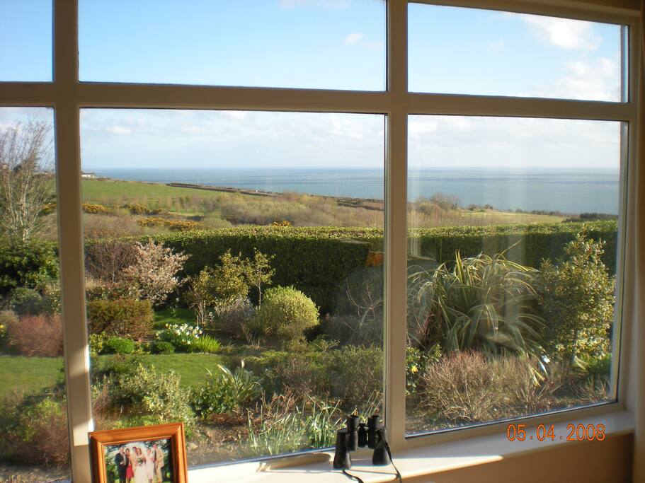 View from living room