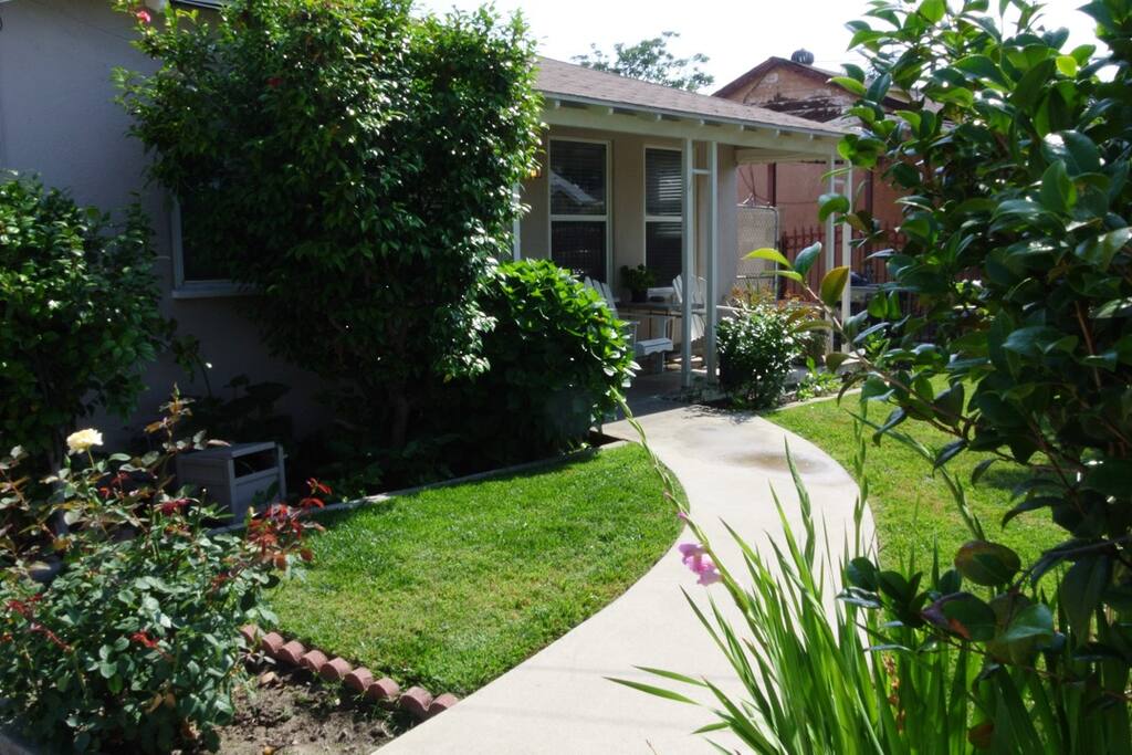 Front yard -