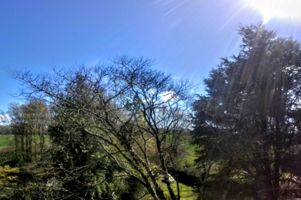 vue de la terrasse