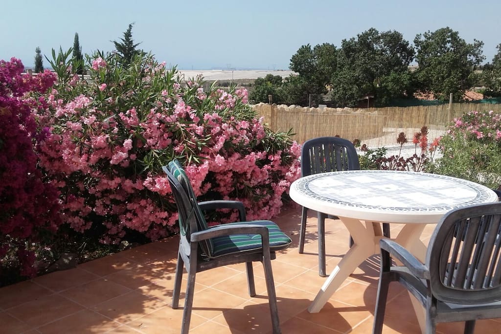 Terrasse & Garten