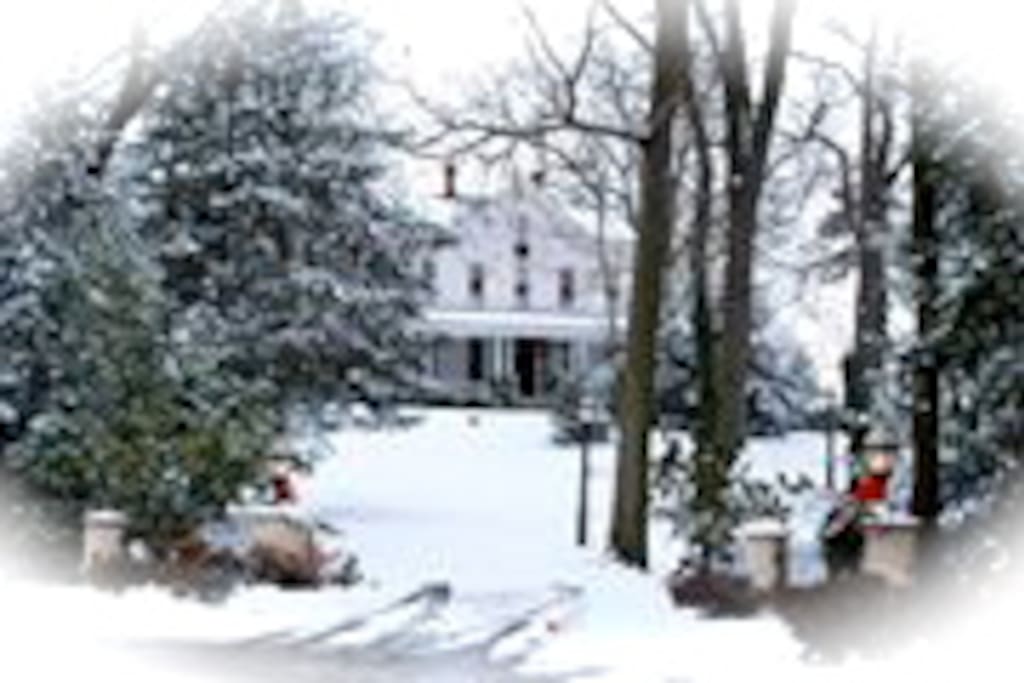 Winter