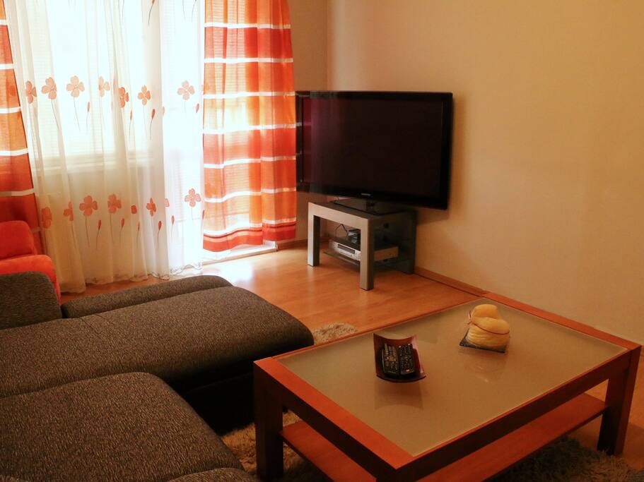 Living room TV and balcony entrance