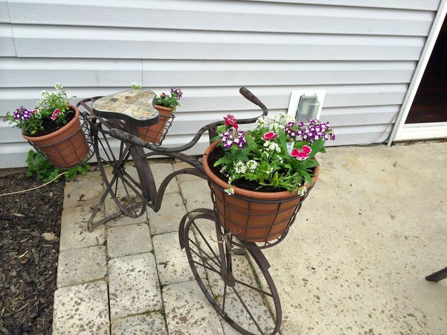 Patio flowers