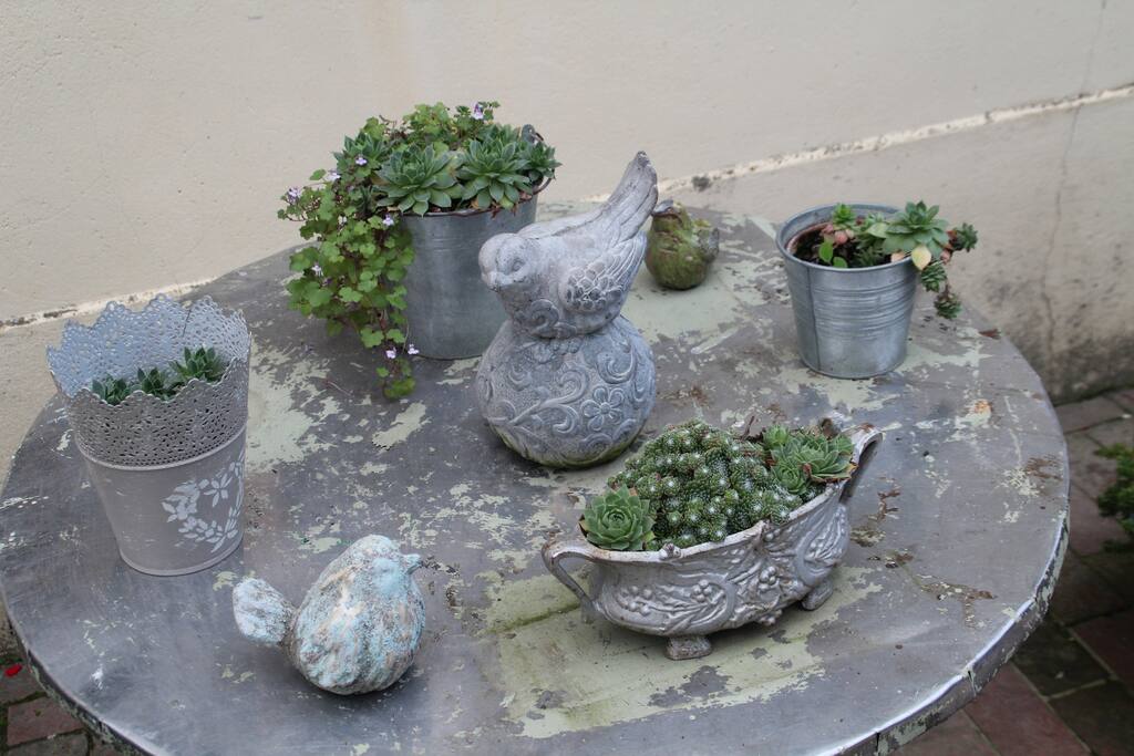 Table bucolique avec zozios et mères de famille