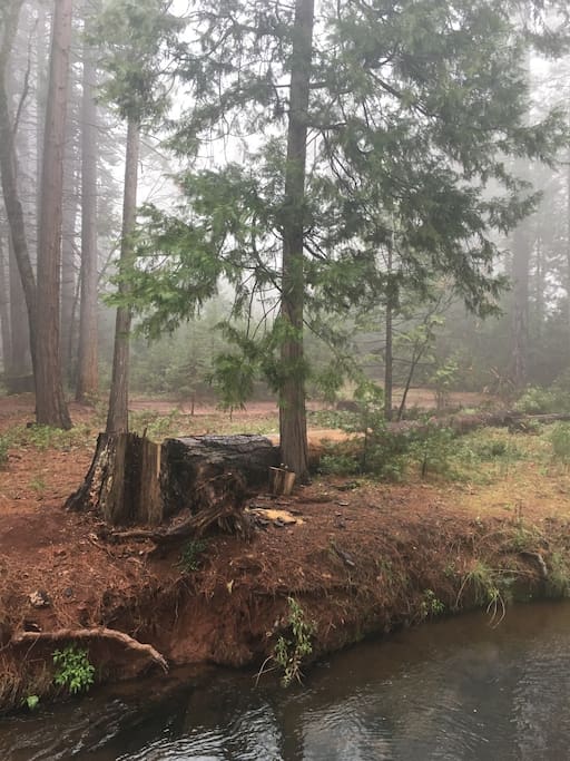There are trails all along Grace Lake & Nora Lake, 2 miles from our home.