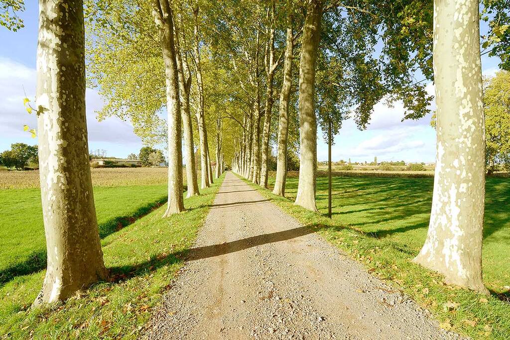 Arrival path to the property