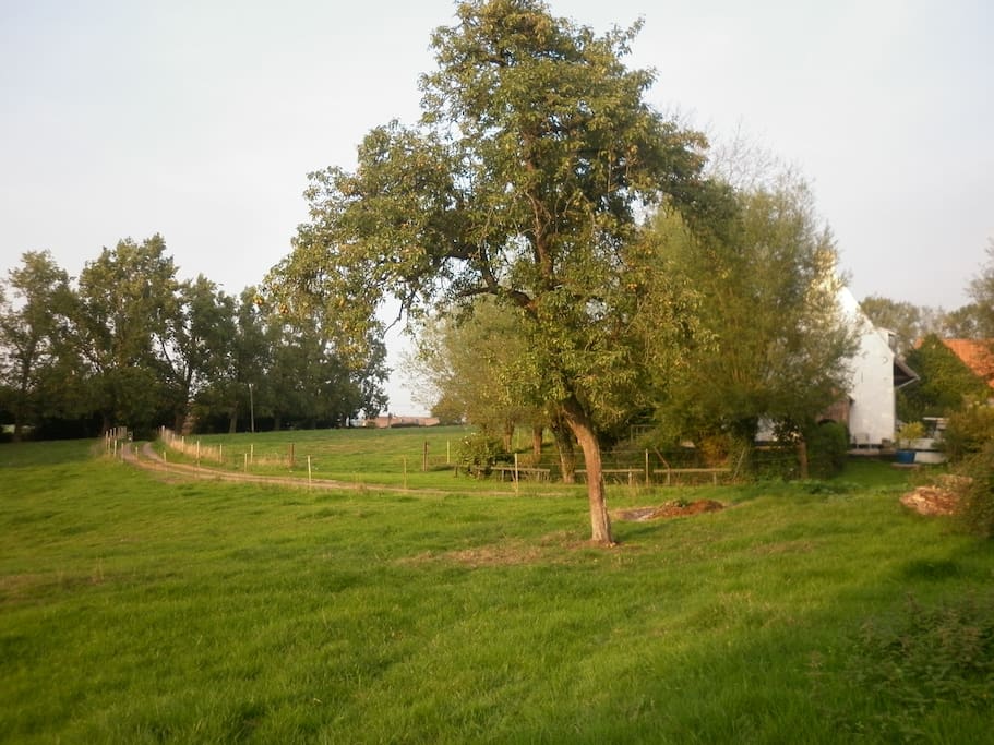 Le gîte est DANS la prairie