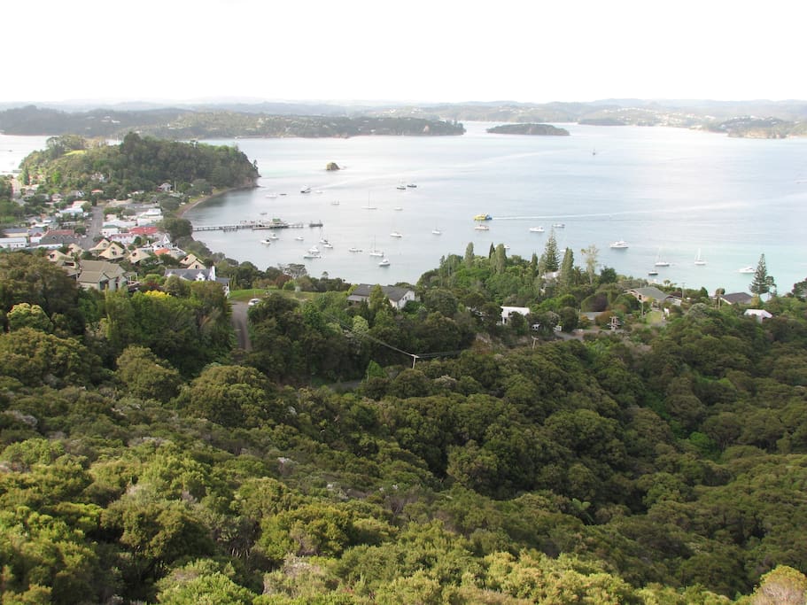 Russell from Flagstaff Hill. Russell Tree House on extreme right.