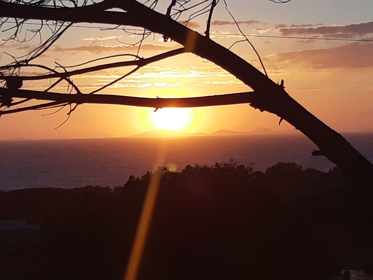 The sun is setting over the distant horizon, casting warm golden hues across the sky. Silhouetted branches frame the image, enhancing the natural beauty. The calm ocean reflects the soft light, while distant hills outline the scenic view.