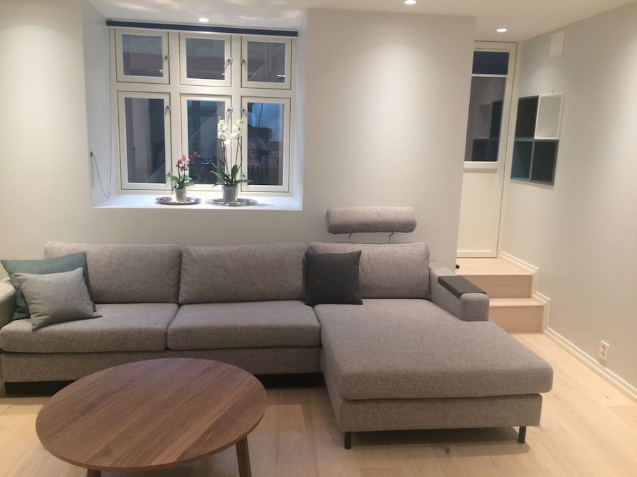Living rom with sleeping couch