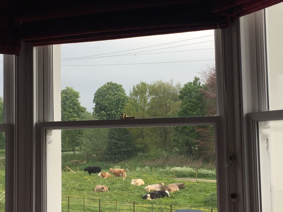 View from master bedroom bay window