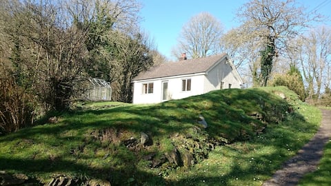 Trewindsor Mill View in Cardigan