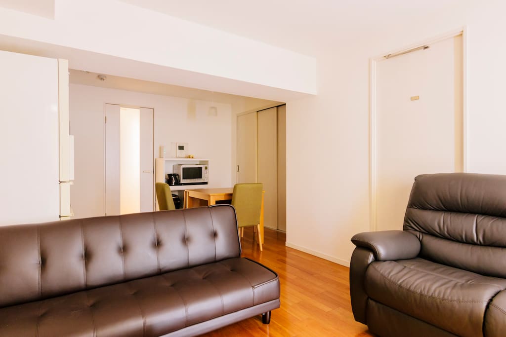 Living room has a comfy sofa & a sofabed