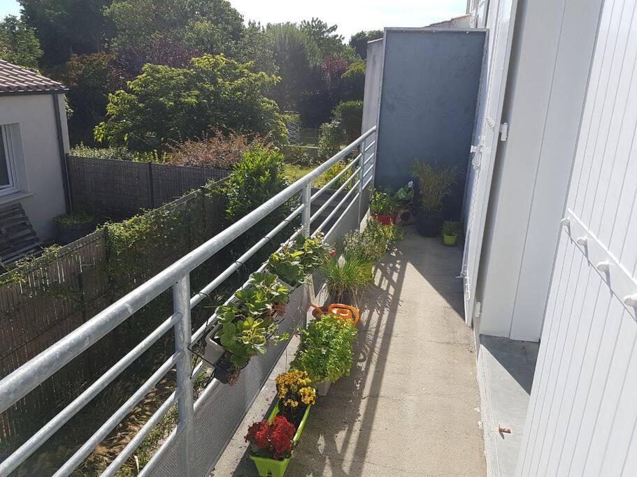 Grand balcon avec fraises