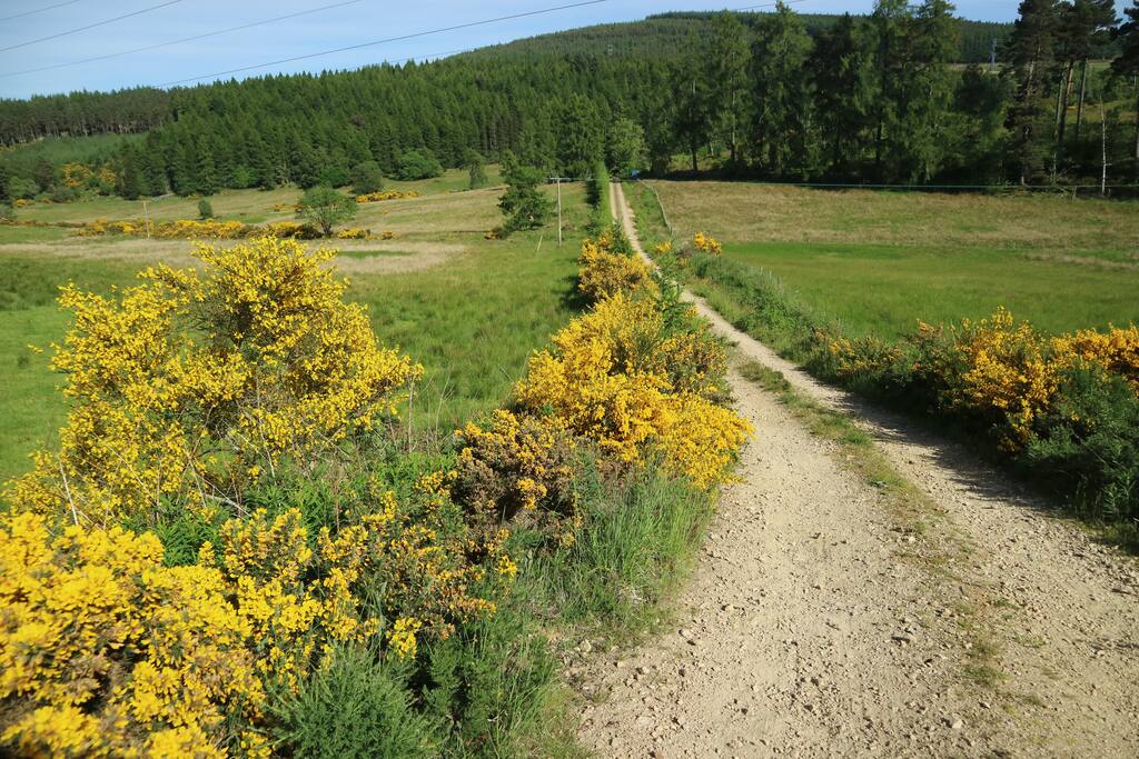 The road up to the cottage