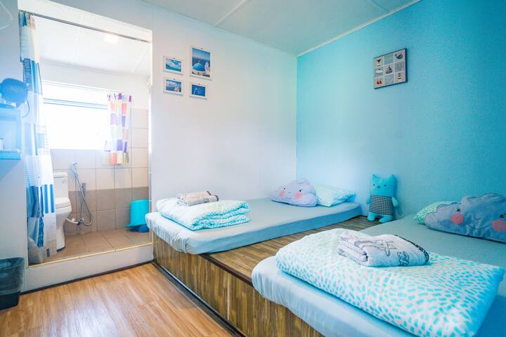 Mediterranean Blue @ Kopi Valley, Kundasang Sabah