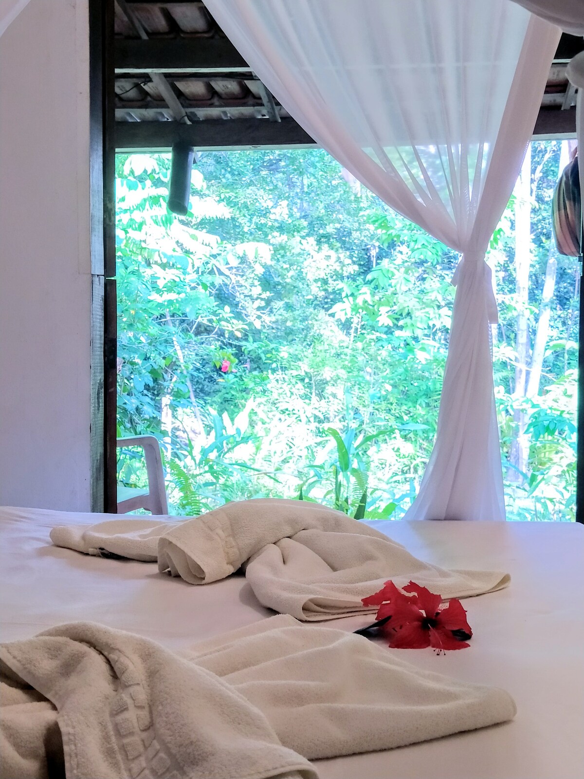 Спијте како поглед!