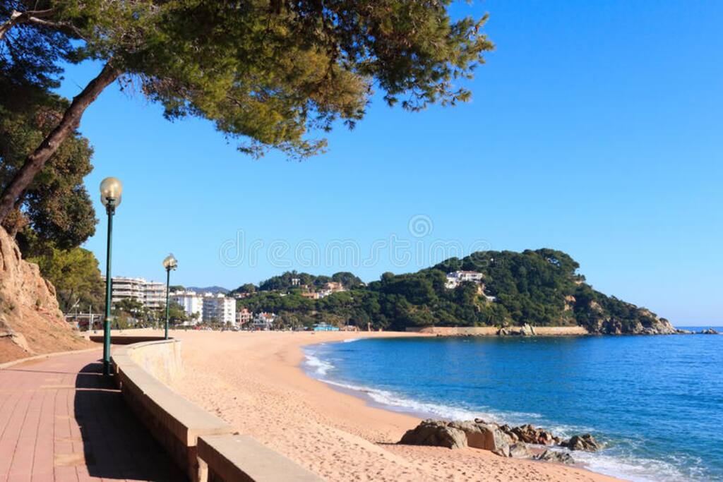 PLAYA FENALS