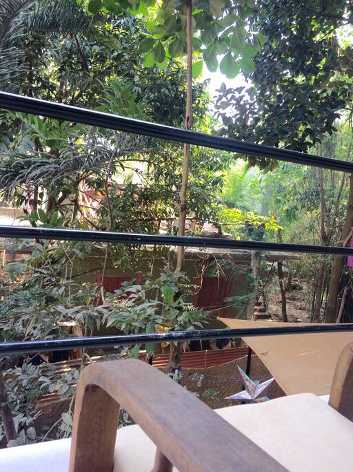 varanda green lush view