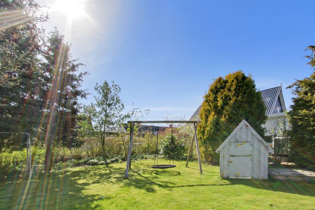 Garden