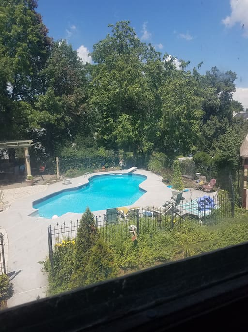 join us for a swim