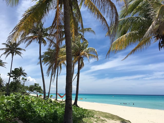 Adriana's beach house.