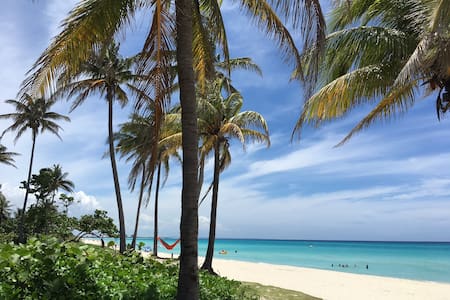 Adriana's beach house.