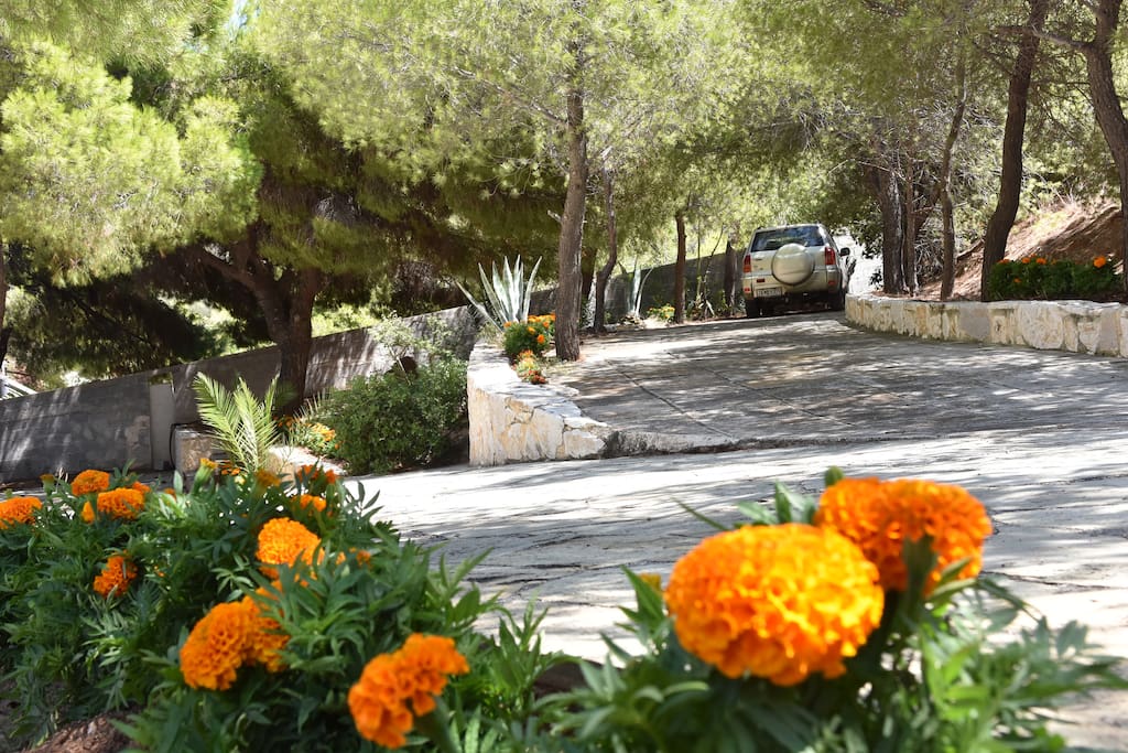 Parking area