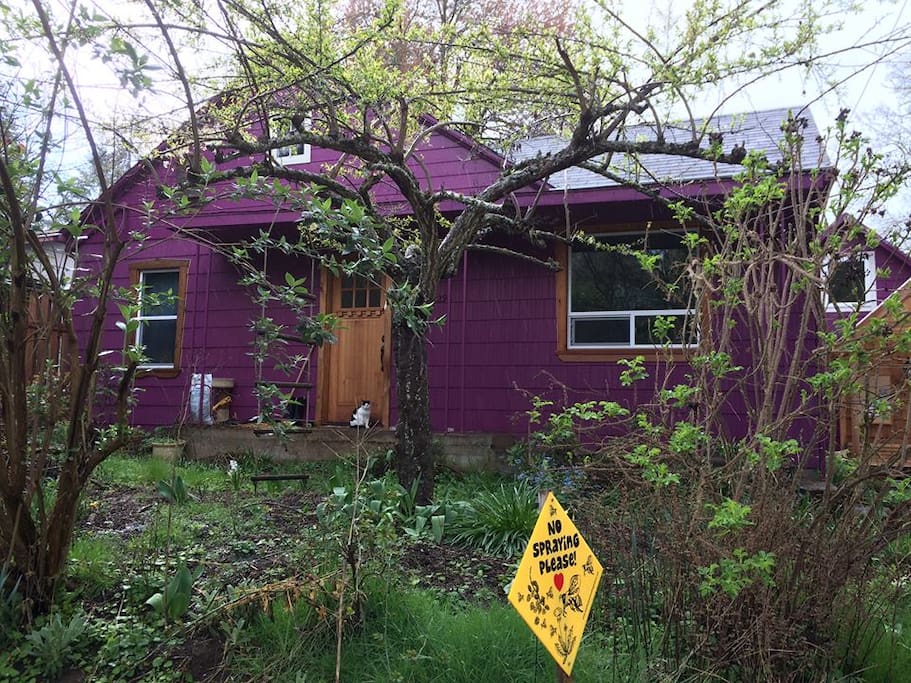 Our Purple House