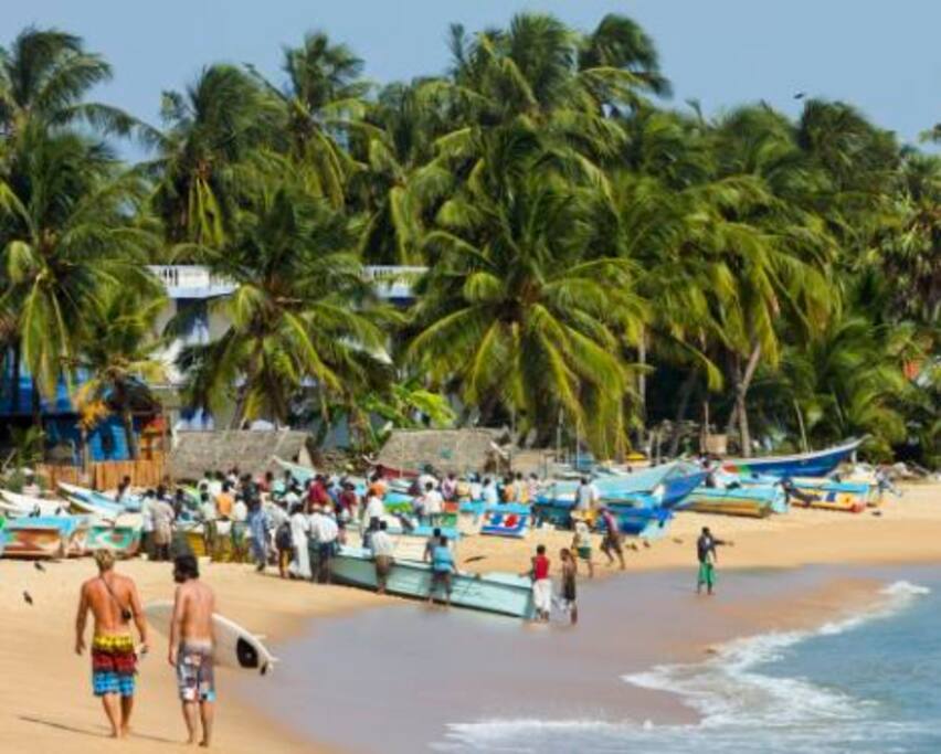 At Beach Galle