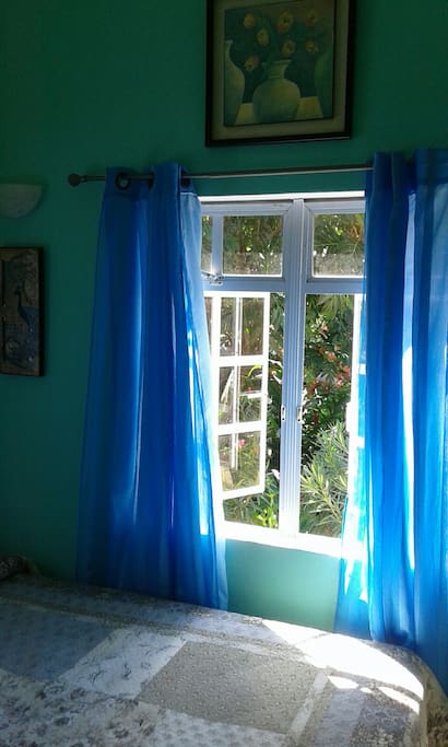 A view of the natural surrounding