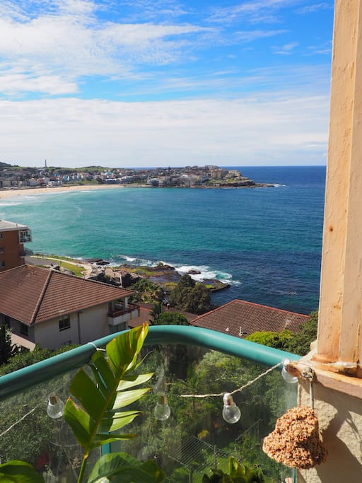 View from balcony of Bondi beach